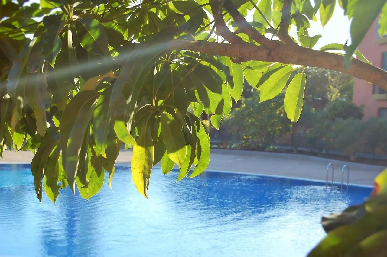 El Medano. La Tejita Paradise. Apartment 0*,