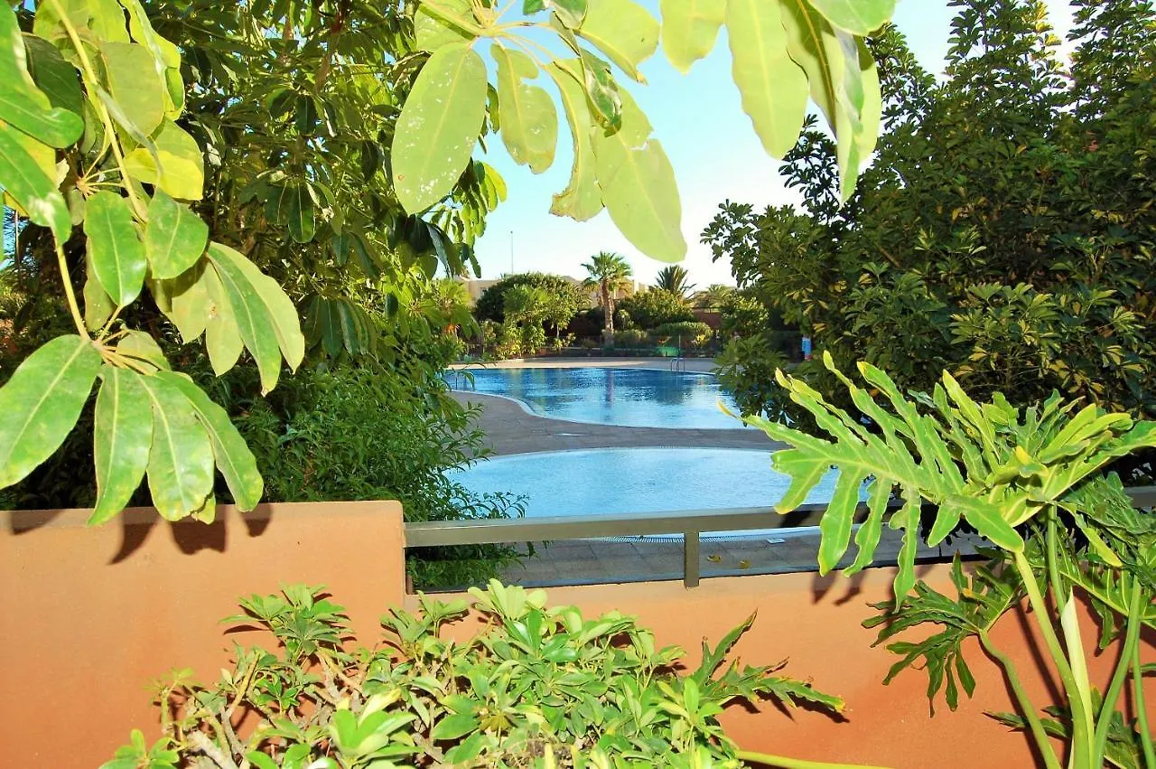 El Medano. La Tejita Paradise. location