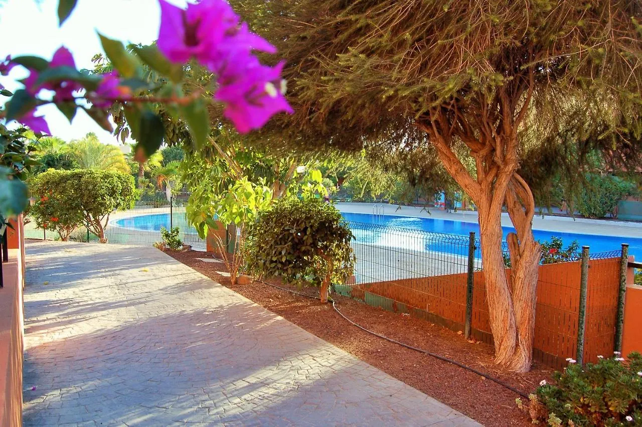 El Medano. La Tejita Paradise. Apartment 0*,  Spain